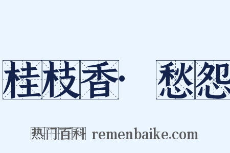 桂枝香·愁怨是什么意思的图片